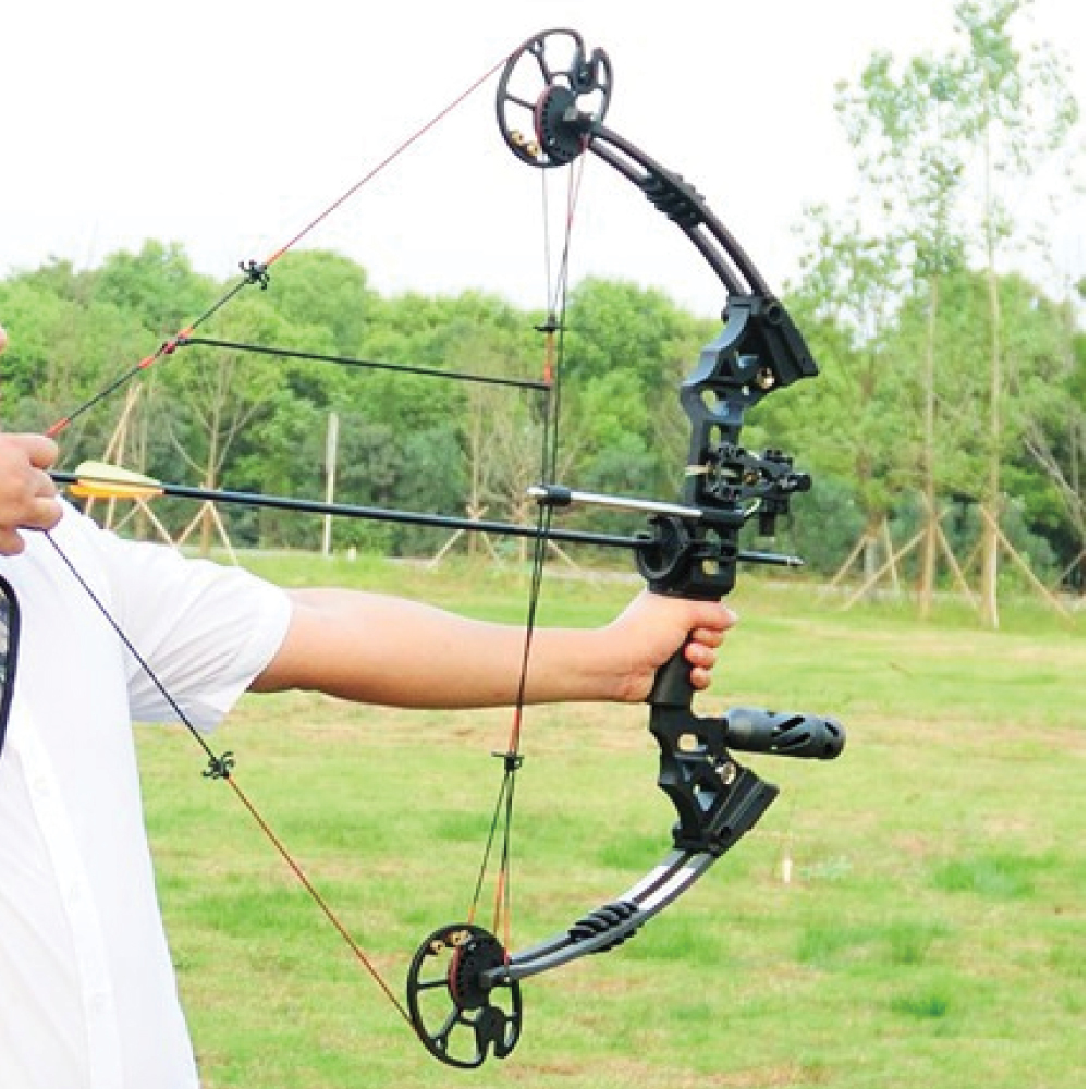 20-70lbs Black LEFT HAND Compound Bow + 12 Arrows + Accessories