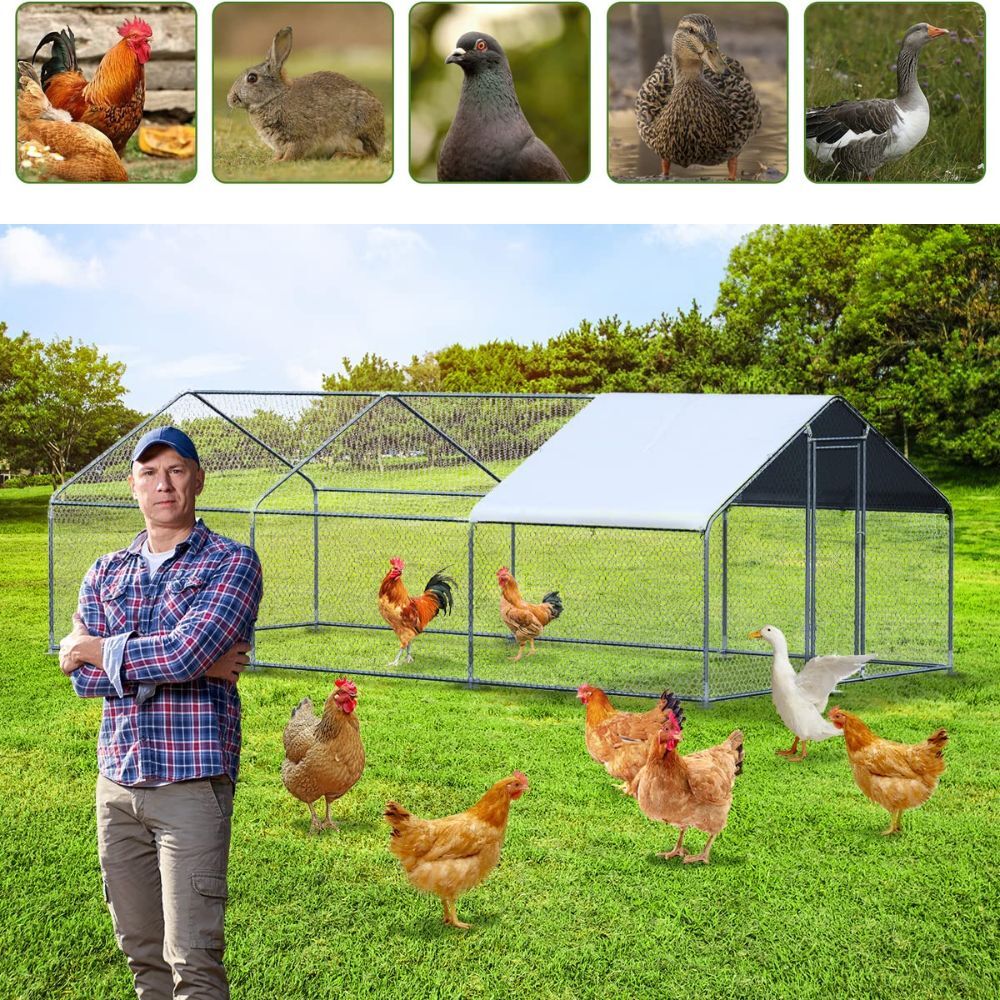 XX-LARGE 45 Chicken Coop House Cage Rabbit Guinea Pig Walk-in 6 x 3 x 2M Steel Metal Run Enclosure Poultry Quail Birds
